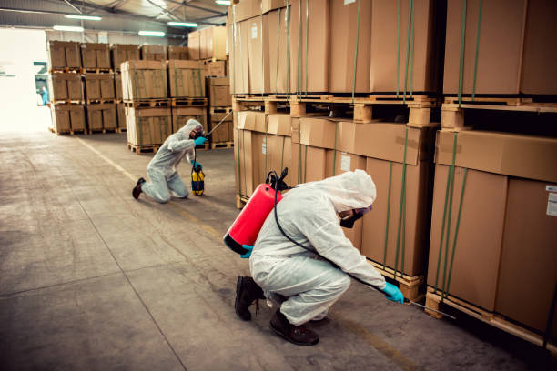 Best Affordable Pest Control Services  in Lincoln Park, NJ
