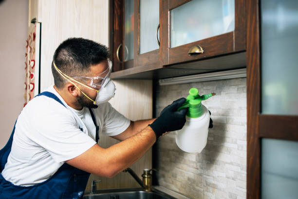 Best Commercial Pest Control Services  in Lincoln Park, NJ