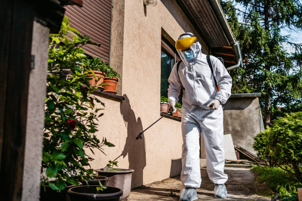 Reliable Lincoln Park, NJ Pest Control Solutions