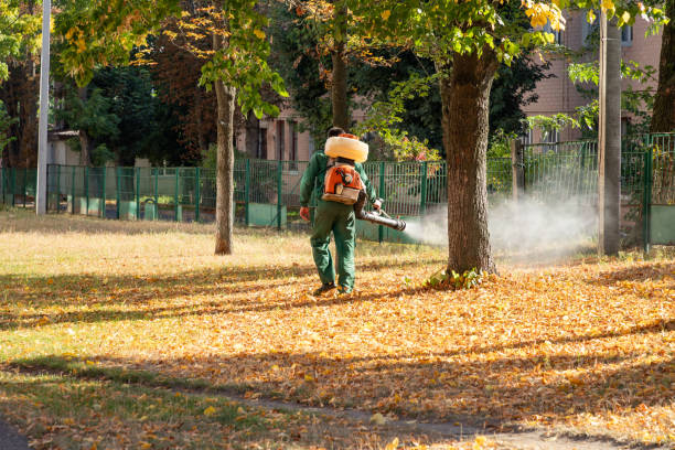 Best Cockroach Control Services  in Lincoln Park, NJ