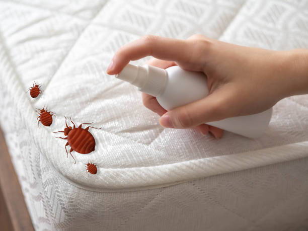 Pest Prevention Services in Lincoln Park, NJ