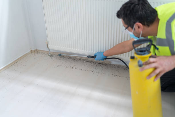 Best Affordable Pest Control Services  in Lincoln Park, NJ